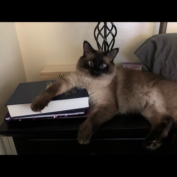 Meet your Posher, Ingrid May - Picture 3 of 3